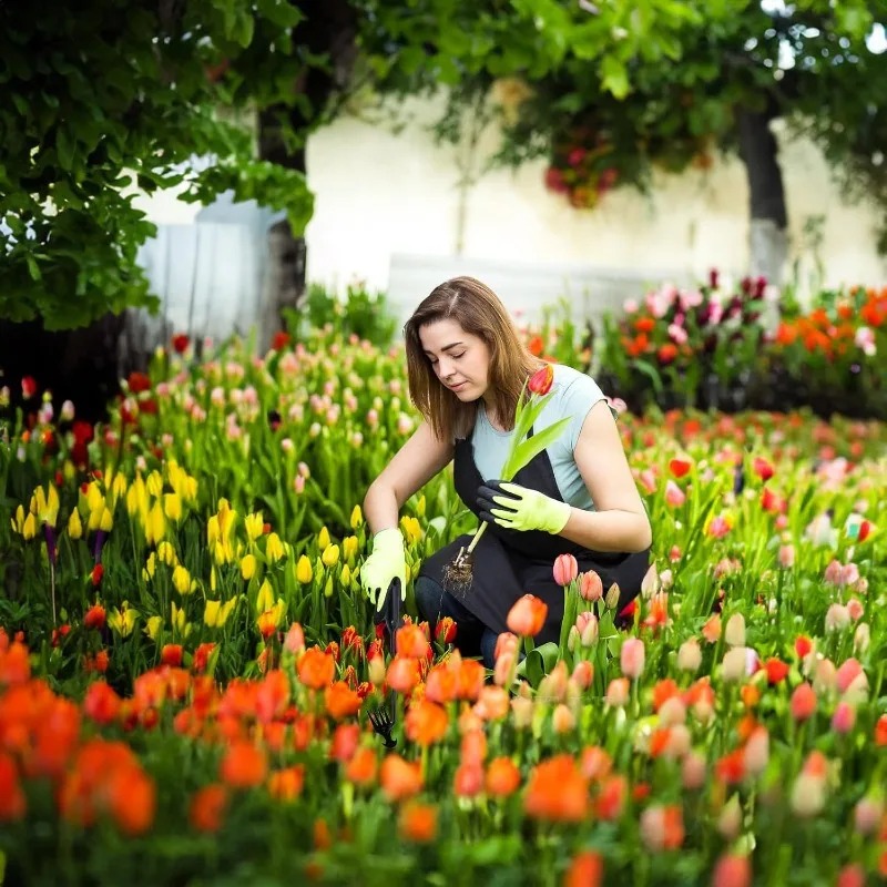 เครื่องมือทำสวน 2-in-1 แบบใช้ม - Gardening Tools Shovel บทวิจารณ์และราคา