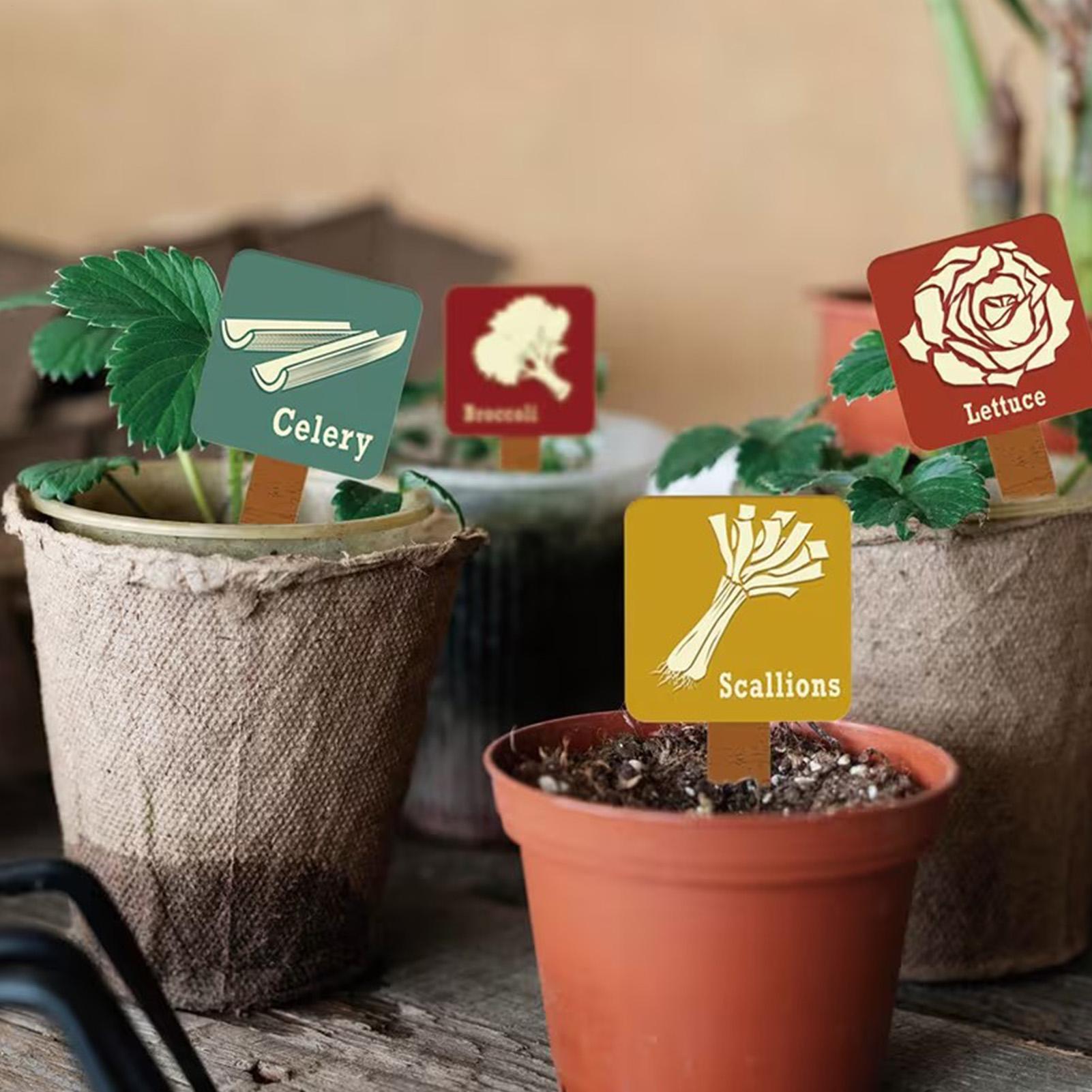 ป้ายติดต้นไม้ 15 ชิ้น รูปตัว T - Garden Row Marker บทวิจารณ์และราคา