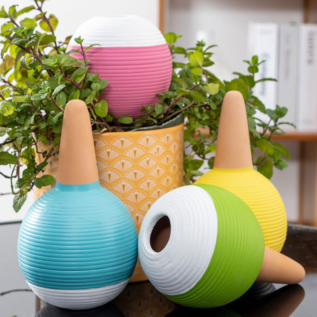 เครื่องมือรดน้ำต้นไม้เซรามิกอั - Gardening Tools Must Haves บทวิจารณ์และราคา