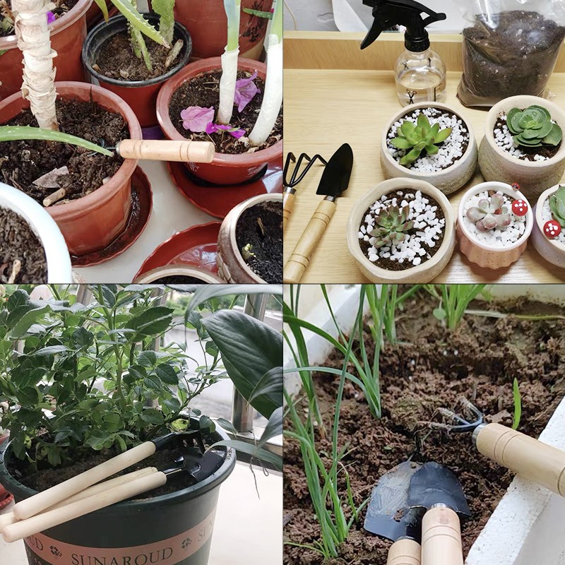 ชุดเครื่องมือทำสวนขนาดเล็ก 3 ช - Gardening Tools Shovel บทวิจารณ์และราคา