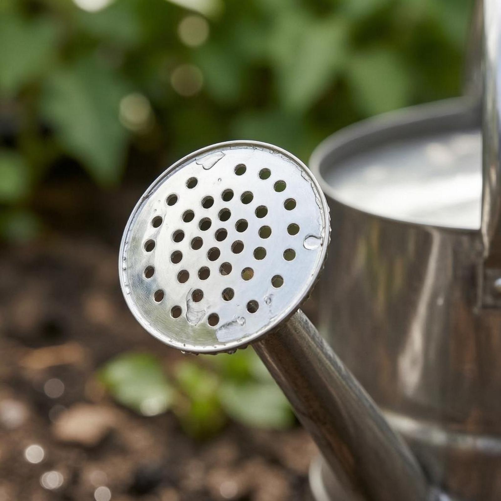 บัวรดน้ำต้นไม้สแตนเลส แข็งแรง  - Gardening Tools Watering Can บทวิจารณ์และราคา