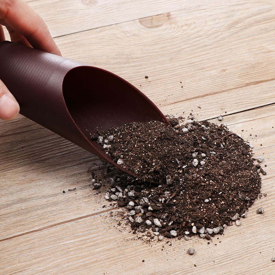 ถ้วยพลั่วดินพลาสติก1ชิ้นสำหรับ - Gardening Tools Shovel บทวิจารณ์และราคา